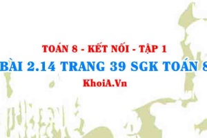 Bài 2.14 trang 39 SGK Toán 8 tập 1 Kết nối tri thức